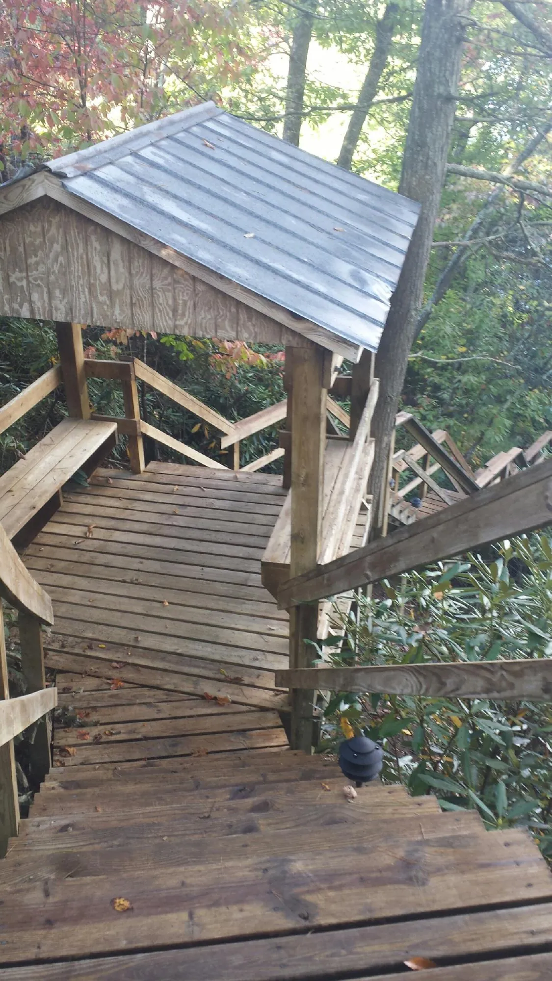 Metal roofed shelter over wooden steps on a wooded walkway — Skylight Repair & Installation work by our crew in Arispe